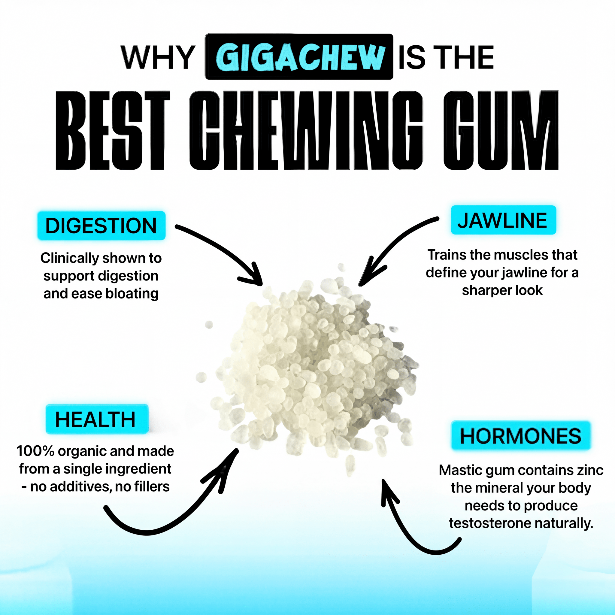 Giga-Chew Mastic Gum