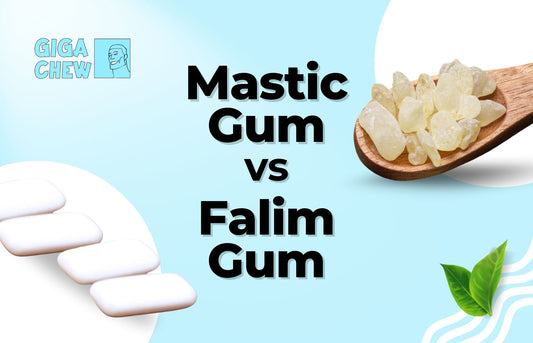 Mastic Gum vs Falim Gum - Which is better - Giga Chew