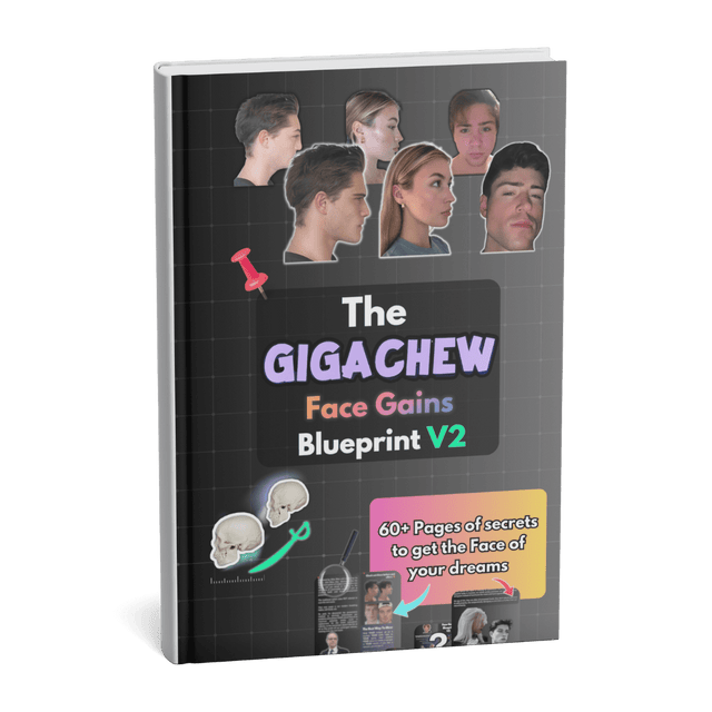 The Face Gains Blueprint