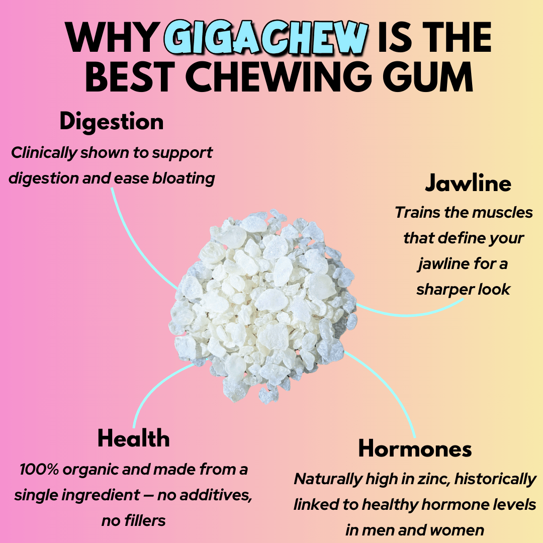 Giga-Chew Mastic Gum