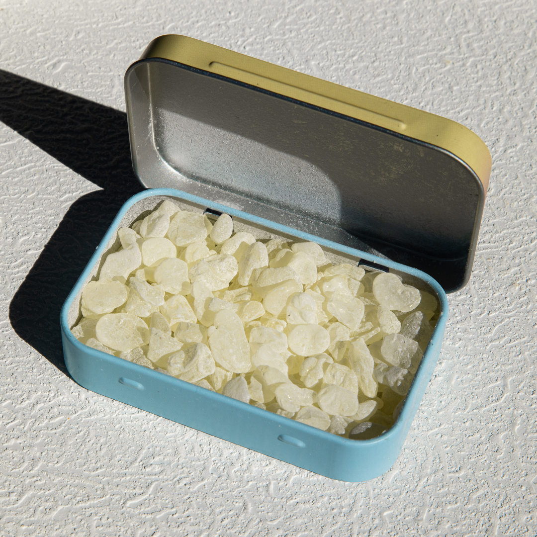 Giga-Chew Mastic Gum
