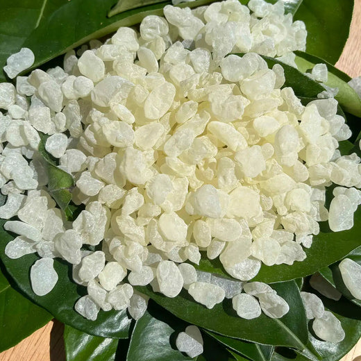 Giga-Chew Mastic Gum