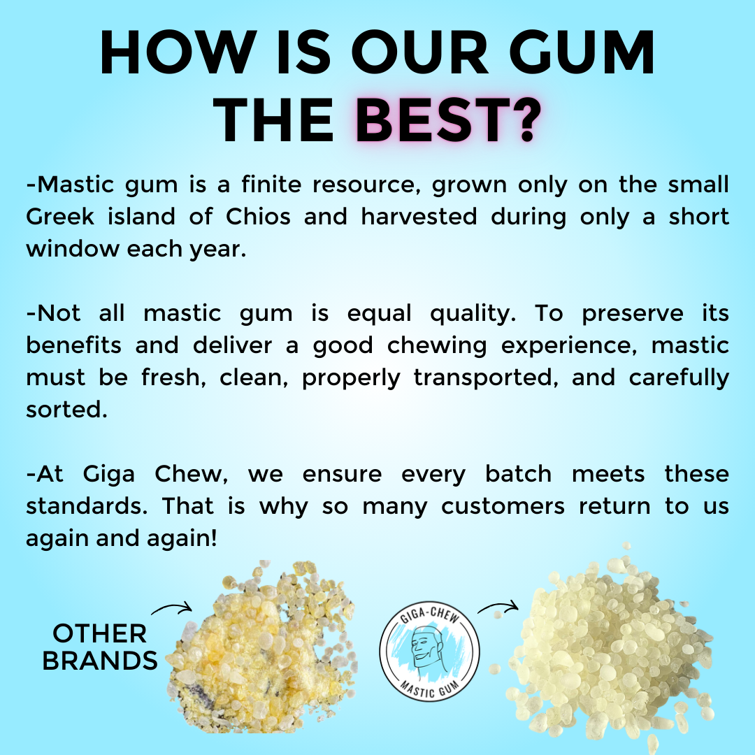 Giga-Chew Mastic Gum