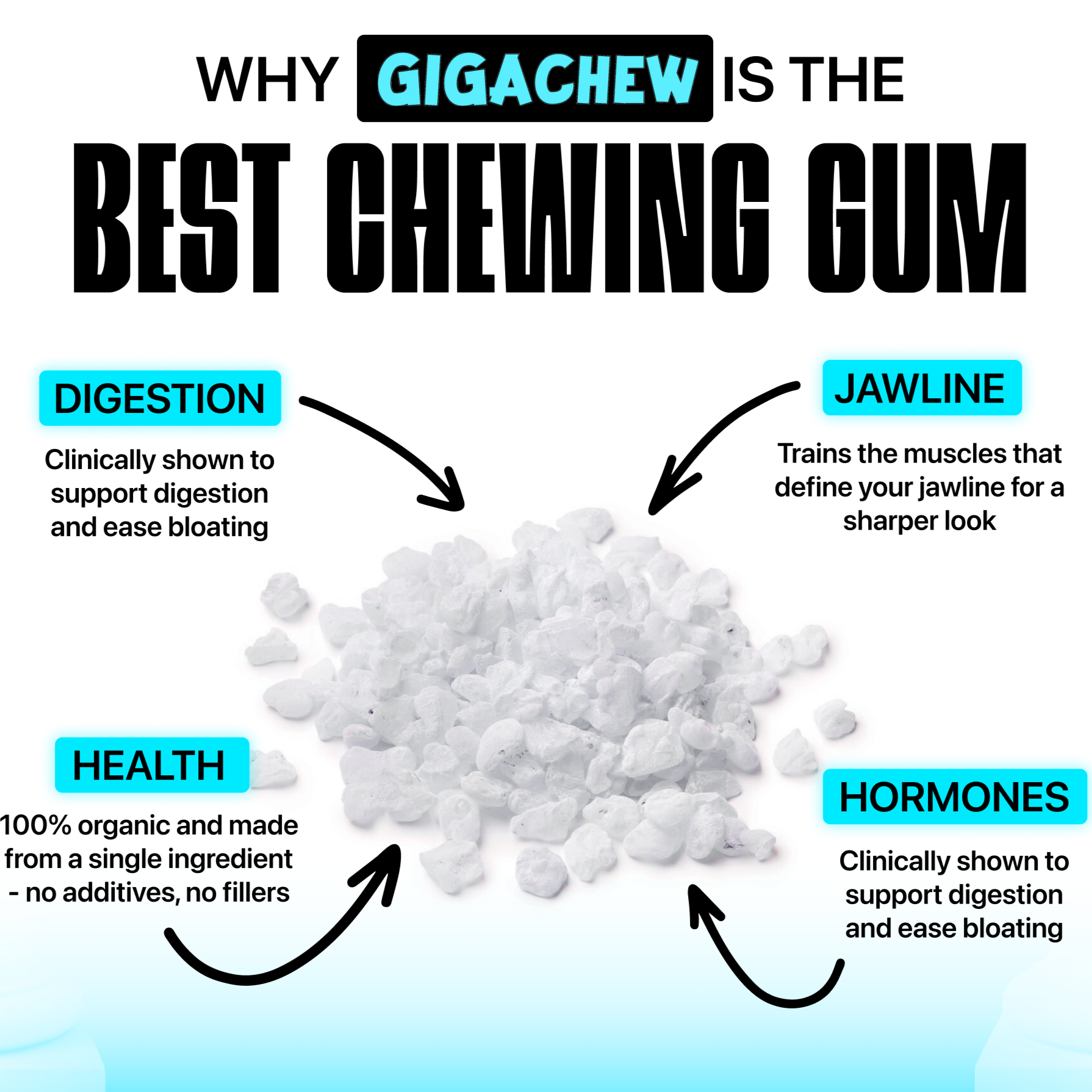 Giga-Chew Mastic Gum