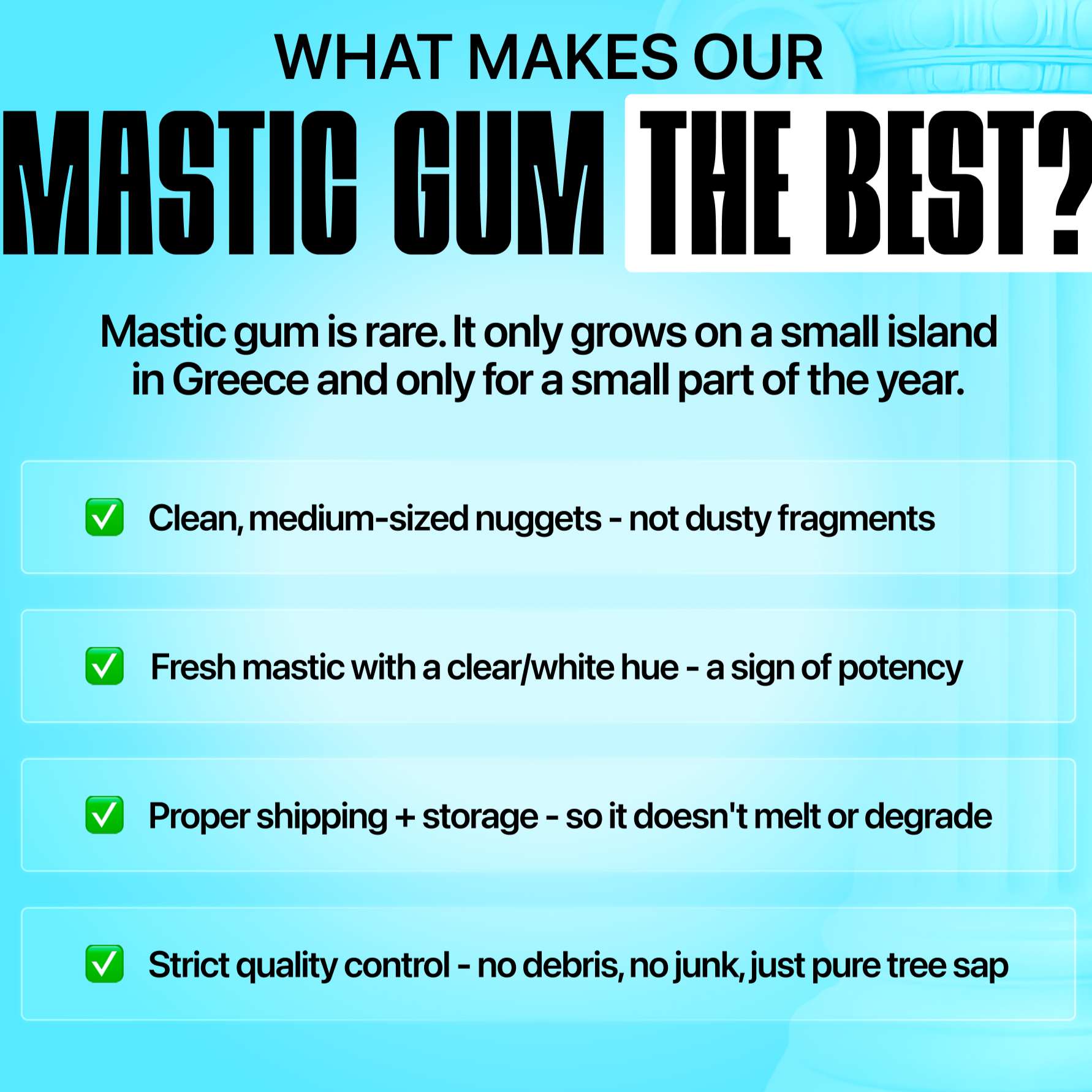 Giga-Chew Mastic Gum