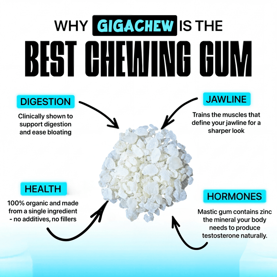 Giga - Chew Mastic Gum - Giga Chew