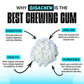 Giga-Chew Mastic Gum