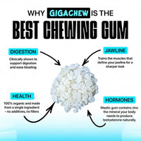 Giga-Chew Mastic Gum