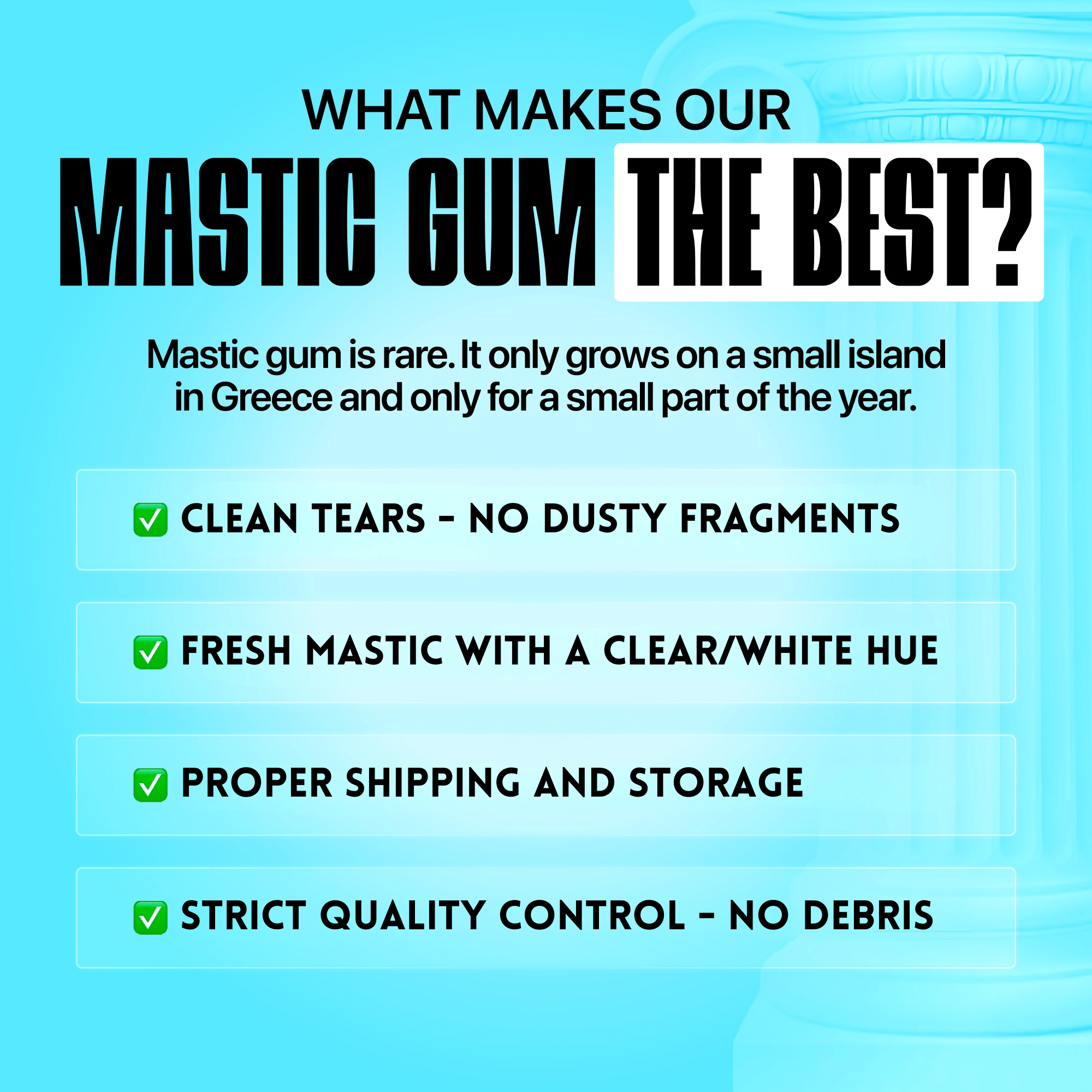 Giga-Chew Mastic Gum