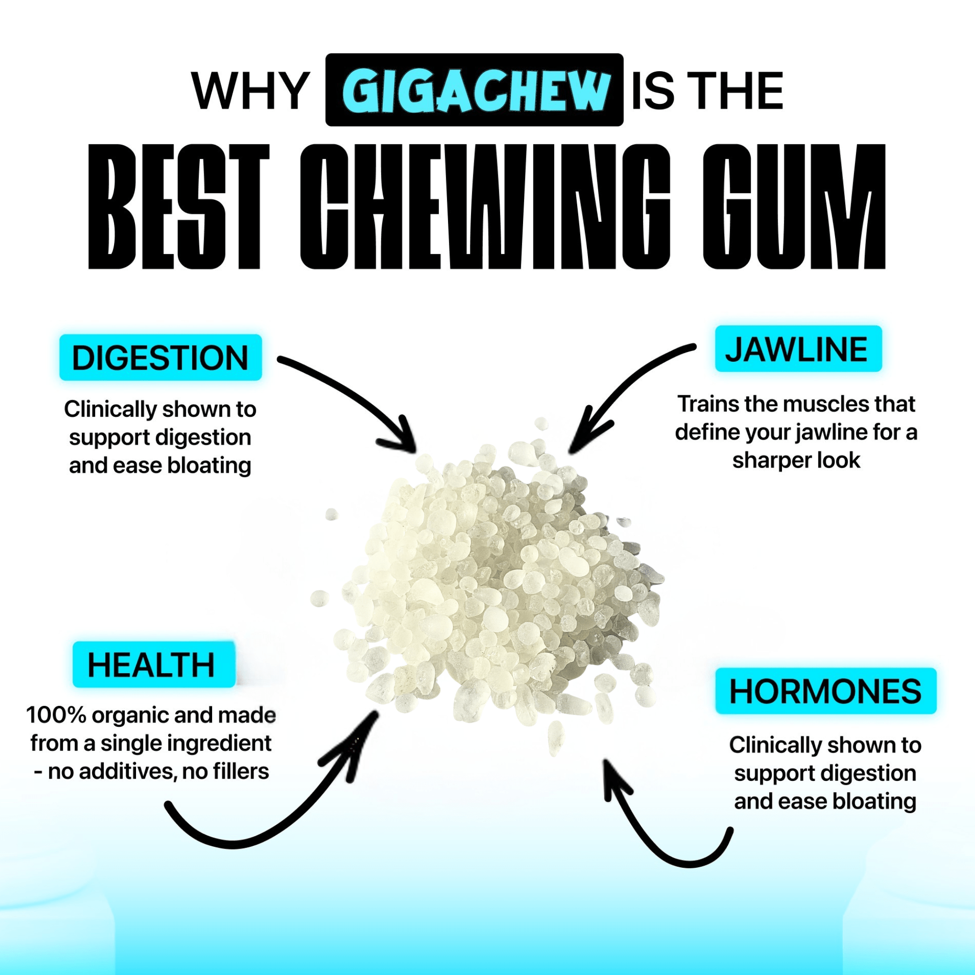 Giga-Chew Mastic Gum