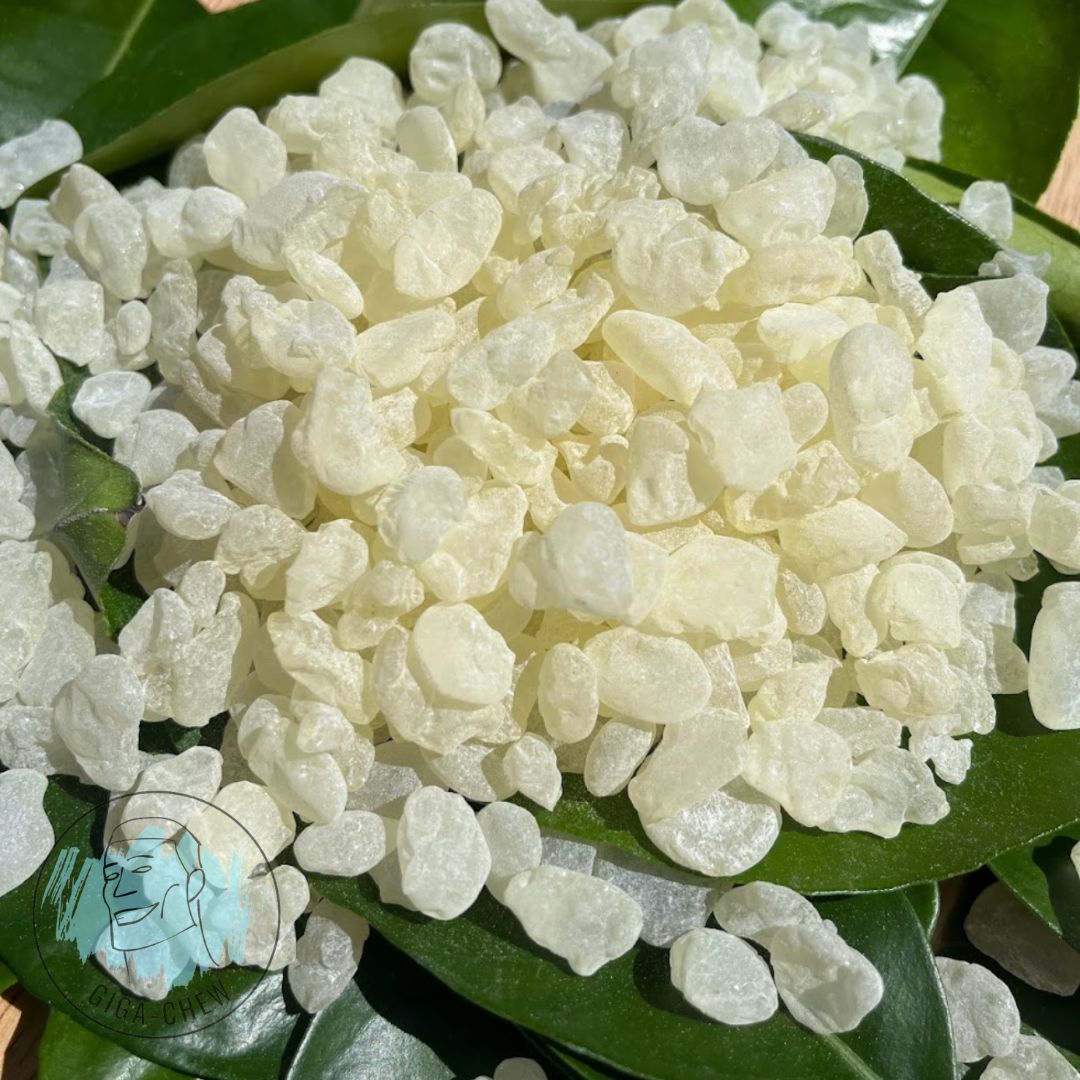 Giga-Chew Mastic Nuggets