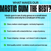 Giga-Chew Mastic Gum