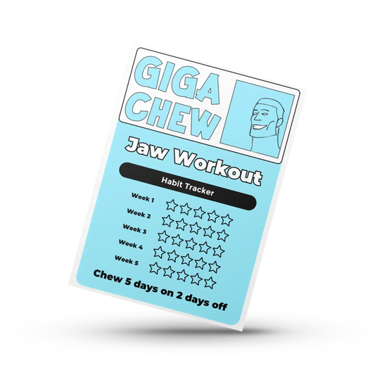 Giga Chew habit tracker gift with a colorful, organized calendar design for tracking daily habits and goals.