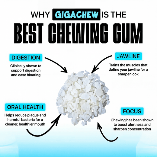 Giga-Chew Mastic Gum - Giga Chew