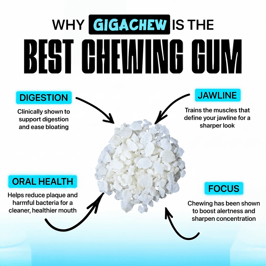 Giga-Chew Mastic Gum - Giga Chew